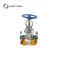 Casting iron standard Electric control valve globe valve